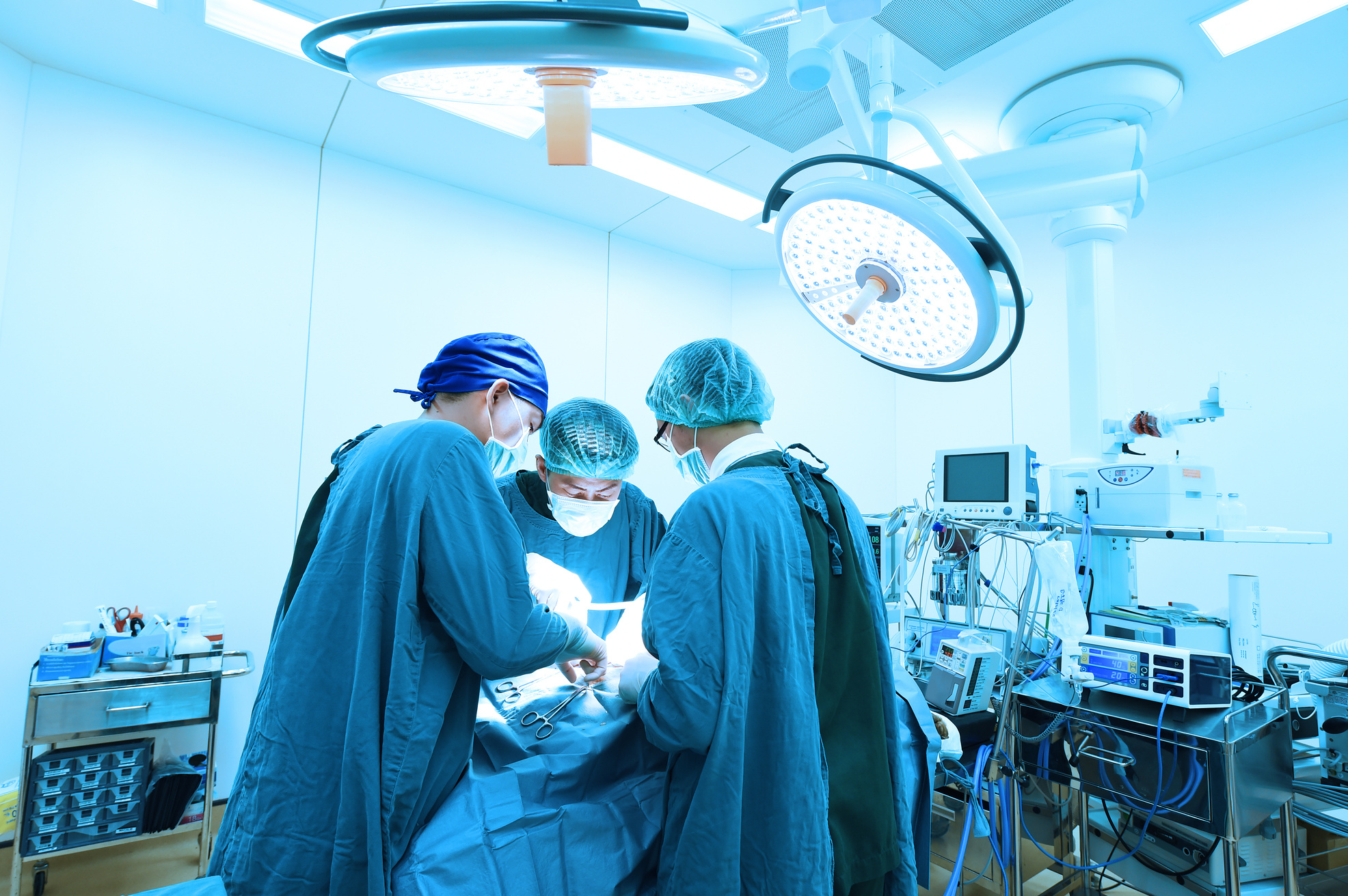 group of veterinarian surgery in operation room